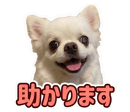 857668582