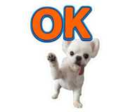 857668599