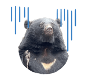 857669356