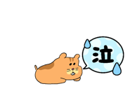 857669382