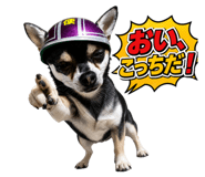 857669546