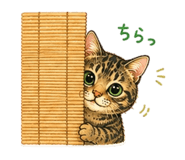 857670048