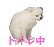 857670155