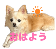 857670713