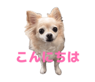 857670714