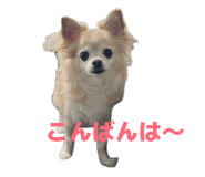 857670715