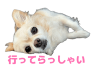 857670718