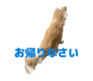857670719