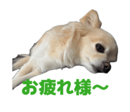 857670720