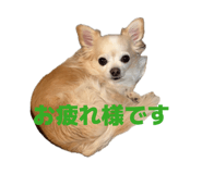 857670721