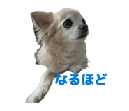857670722