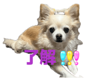 857670728