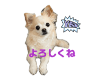 857670729
