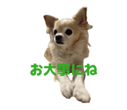 857670734