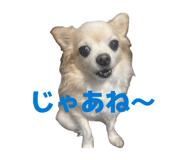 857670735