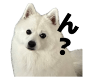 857671553