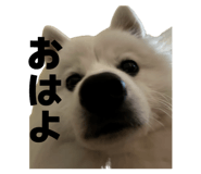 857671554