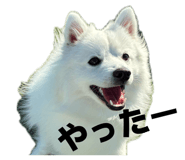 857671556