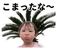 857671667