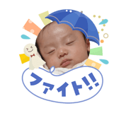 857671677