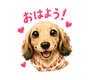 857671682