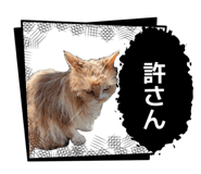 857671856
