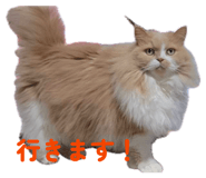 857671857