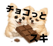 857672078