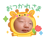 857672165
