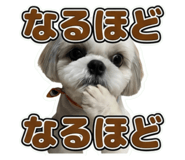857672550