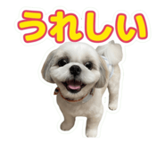 857672553