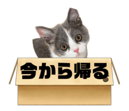 857673028