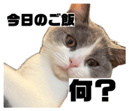 857673030