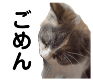 857673031