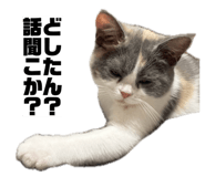 857673037