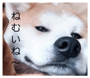 857673262