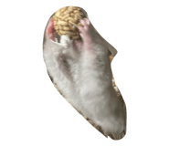 857673809