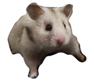 857673810