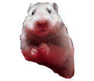 857673818
