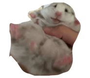 857673822