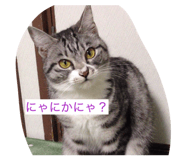 857674129