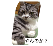 857674131