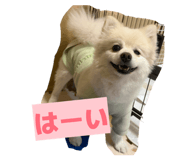 857674138