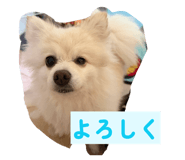 857674141