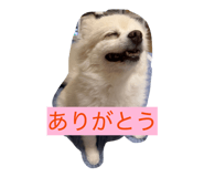 857674142