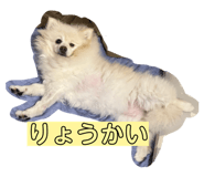 857674144