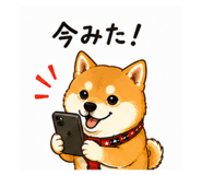 857675209