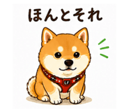857675217