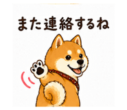857675224