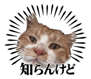 857675307
